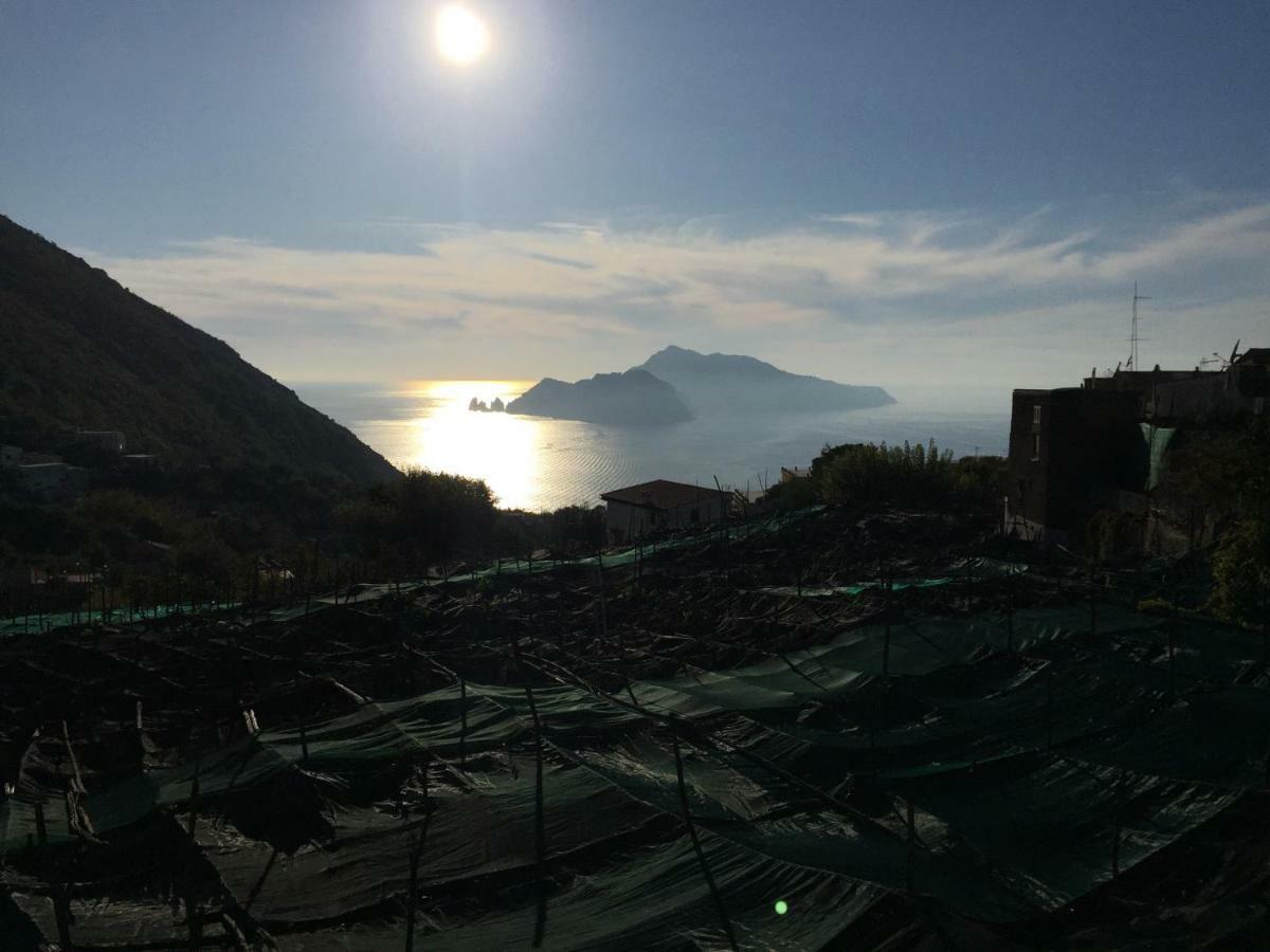 La Casa Di Paola Villa Nerano Bagian luar foto